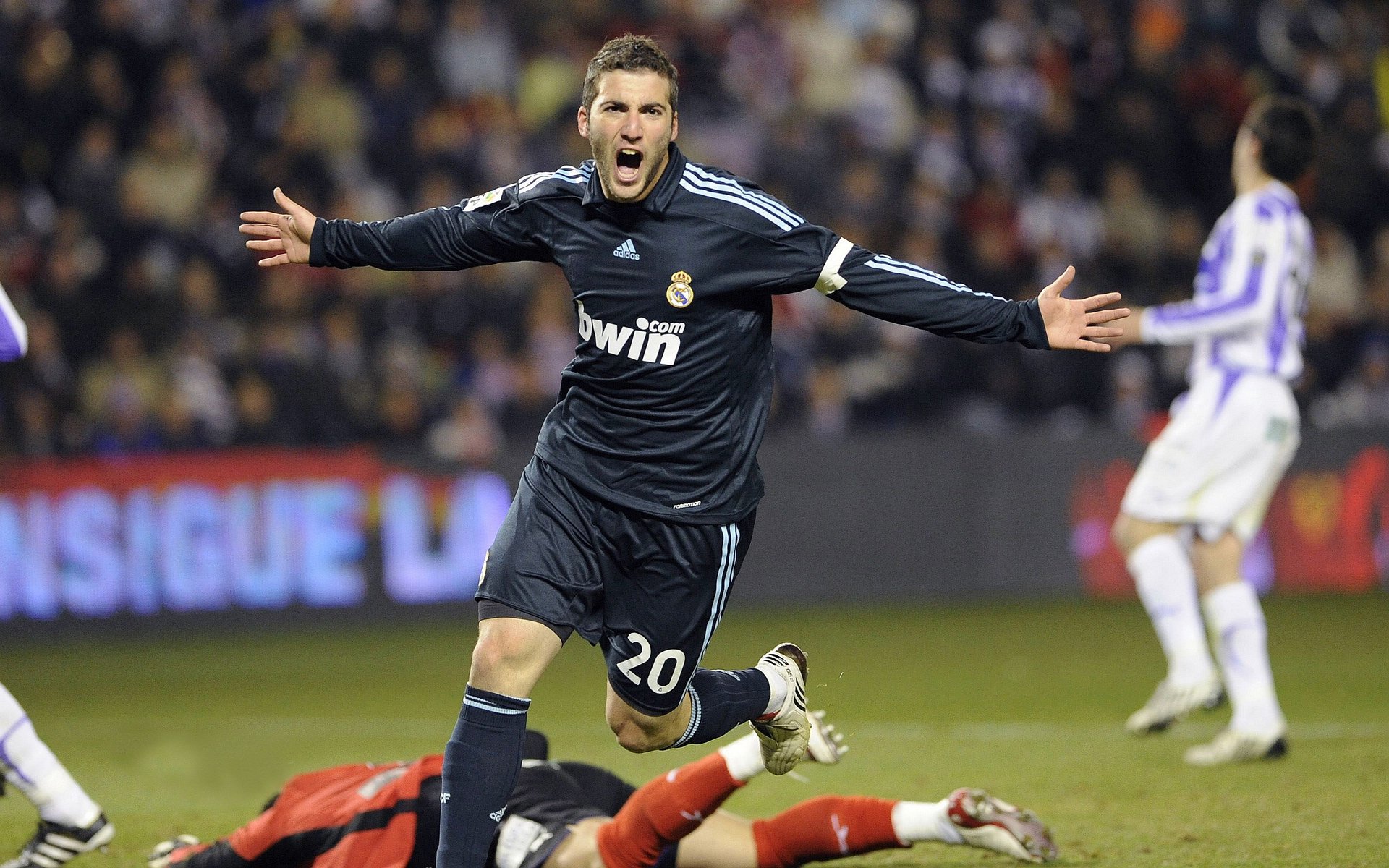 体育赛事年度数据统计